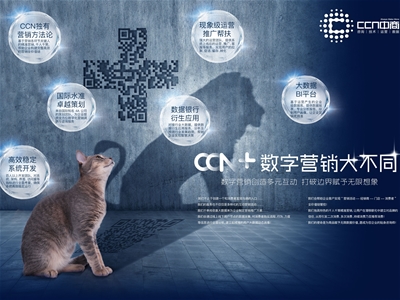 CCNһһaĸИI(y)(sh)ֻINI(y)(w)